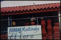  Presione aqu� para ver una imagen m�s grande - click to view 
larger image.