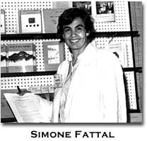 Simone Fattal