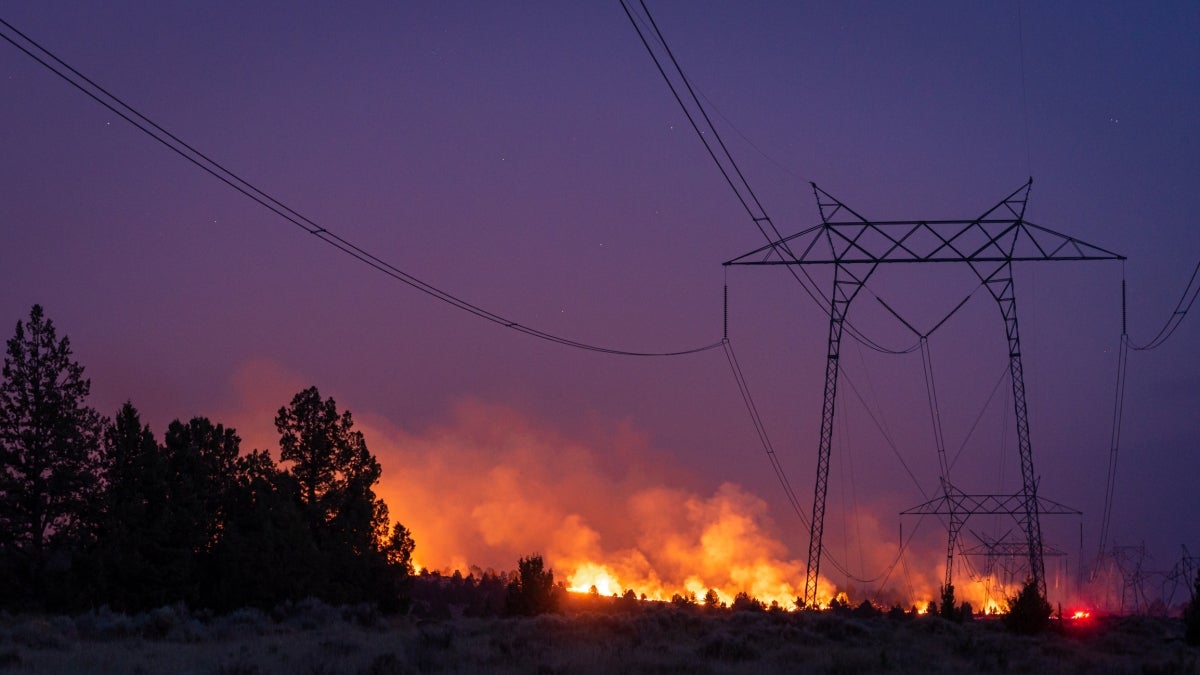 Wildfire encroaching on a power line